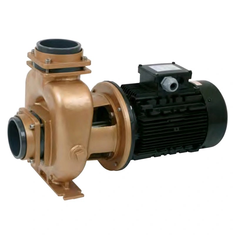 Pahlen PT750FLO Насос для бассейна бронзовый без префильтра Pahlen PT750FLO