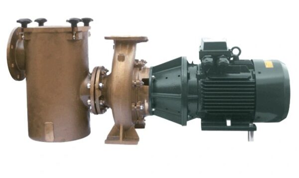 Насос с префильтром для бассейна Bombas PSH FDN-325H (бронзовый)