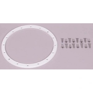 Фланец и винт ниши для светильников бассейна PAR56 AstralPool Standard 00364 4403010901 Фланец и винт ниши для светильников бассейна PAR56 AstralPool Standard 00364 4403010901